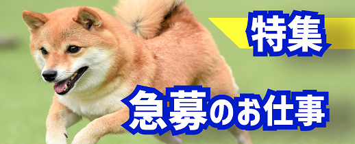 ★短期OK！高時給1300～1500円★コンタクトレンズ等の加工・検品・運搬/二俣新町・西船橋駅（掲載店舗：営業）